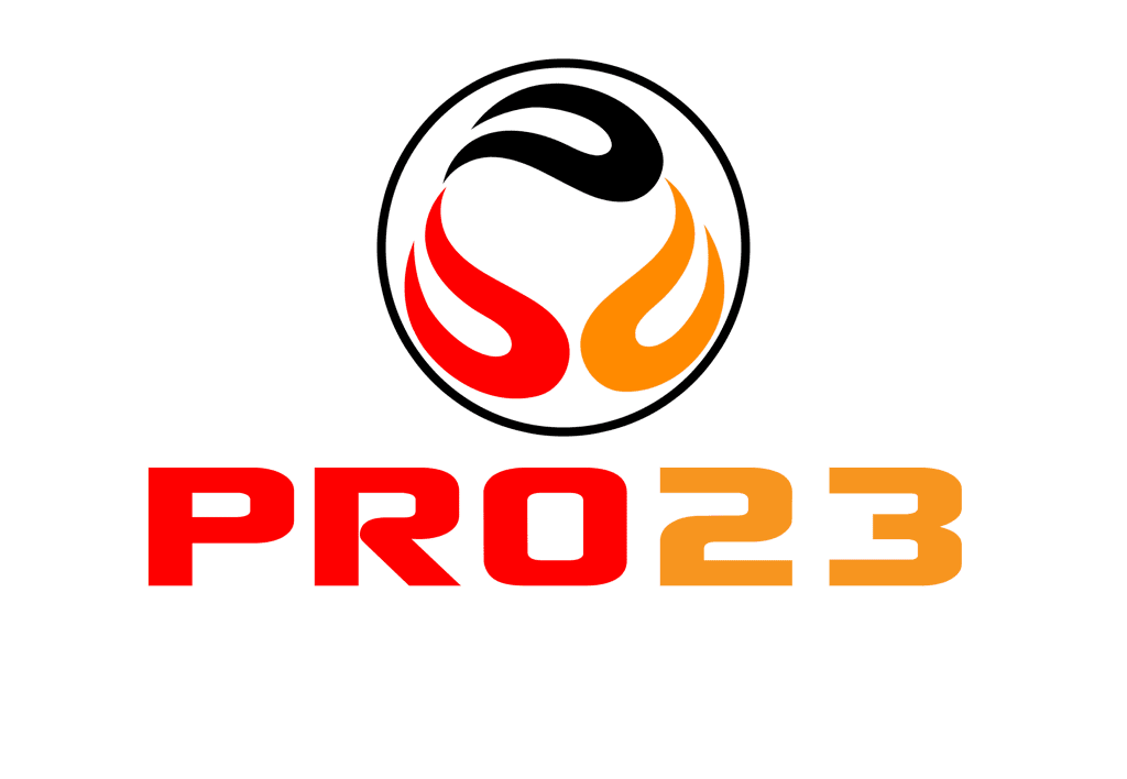 PRO23_3_large